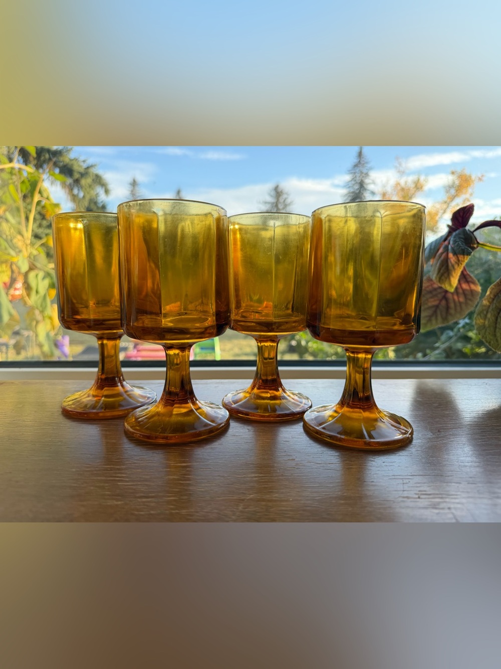 Vintage Libbey Amber glasses 4